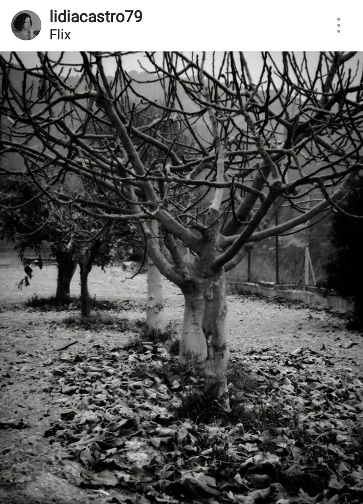 WhatsApp Image 2017-12-17 at 17.54.20