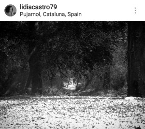 WhatsApp Image 2018-03-03 at 16.09.38