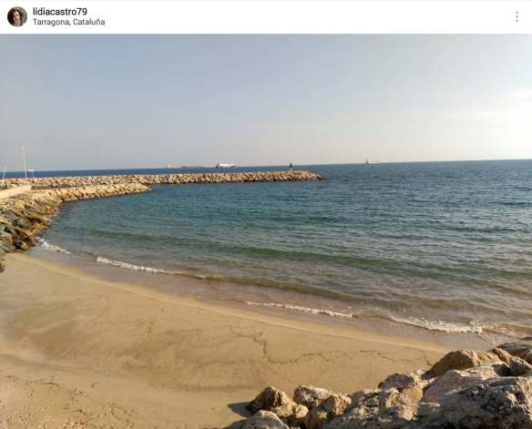 35229033_10215314097112910_1885679638684893184_n