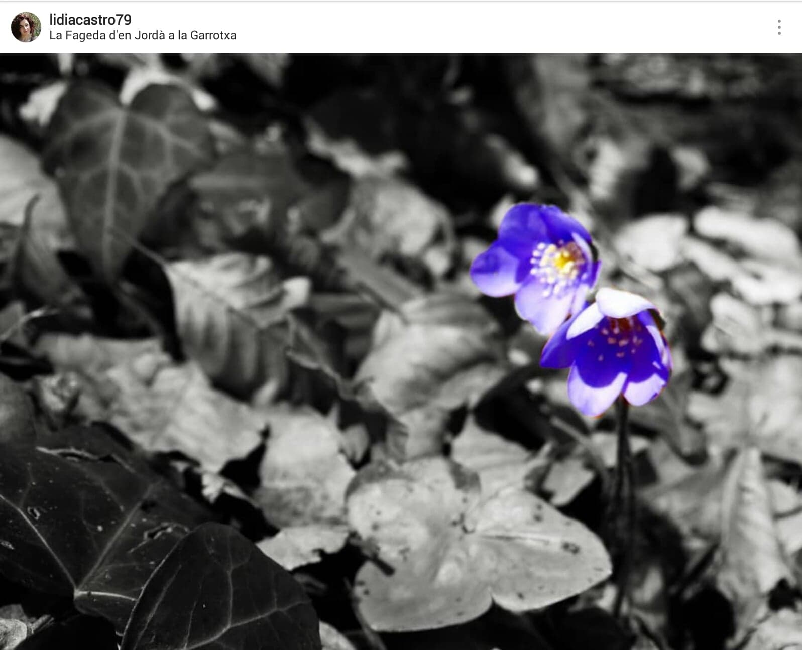 35388247_10215323949199206_6204932664051367936_n