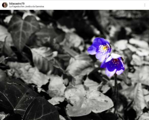 35388247_10215323949199206_6204932664051367936_n