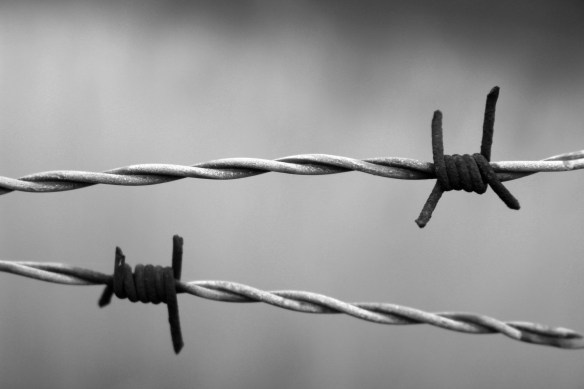 barbed-wire-1269430_1920