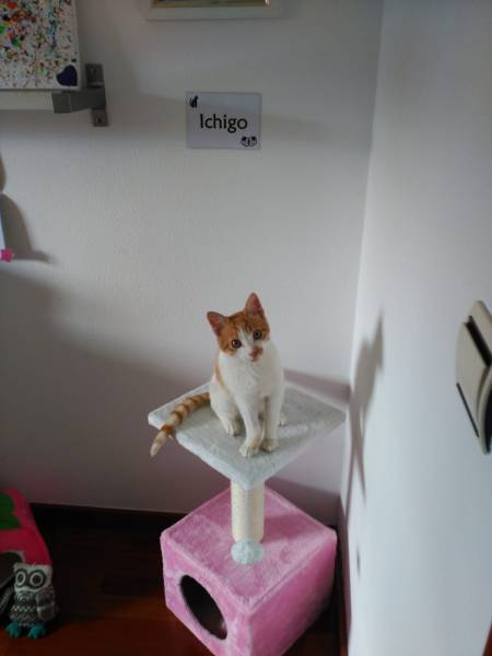 WhatsApp Image 2019-03-08 at 11.10.28